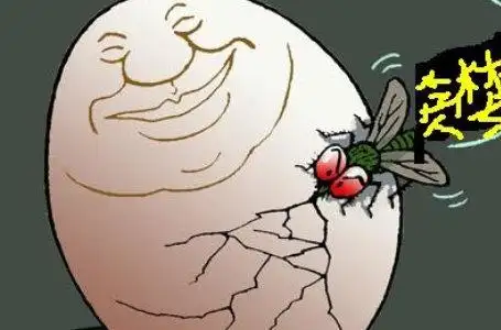 人性为什么会那么贪婪?