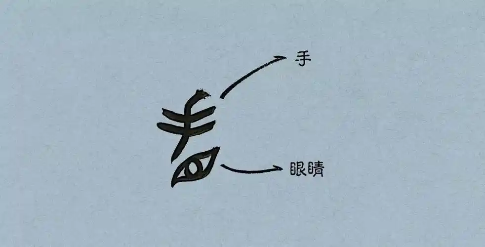 甲骨文"目"10个与眼睛相关的汉字给你另一个角度看世界.