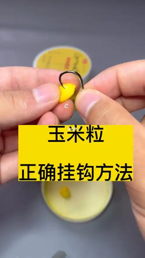 主页小店上新品了超优惠#钓鱼知识  #钓鱼  #钓鱼饵料  #玉米挂钩方法