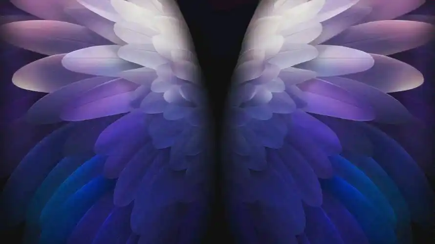 三星盖乐视w20 天鹅翅膀视频壁纸