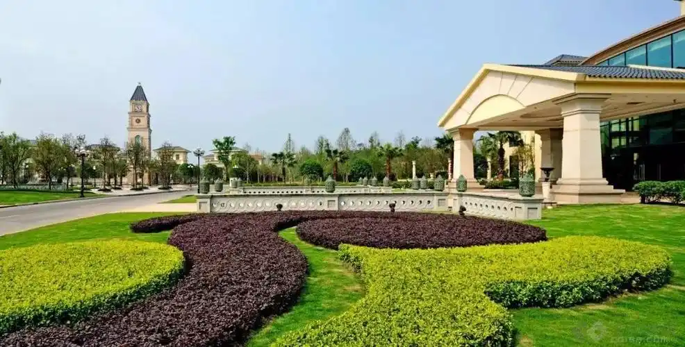 关于园林绿化中的色块搭配