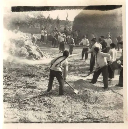 古耿大地华丽蝶变 写美篇      改革开放以来,河津农业和农村经济发生