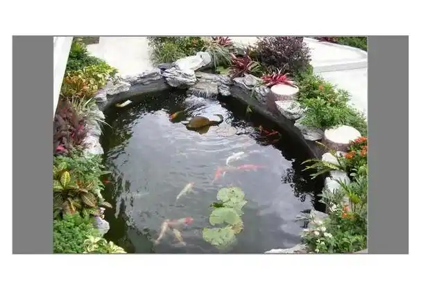 哪里有设计庭院锦鲤鱼池的(花园只有造个锦鲤鱼池)20