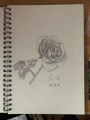 素描画简单好看易画花 素描画简单好看易画