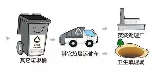 那么,"其他垃圾"经过分类投放后需要经过怎样的收集,运输和处理过程呢