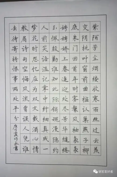 赵崇《沁园春》钢笔爱好者每周一篇钢笔字练字打卡作业欣赏