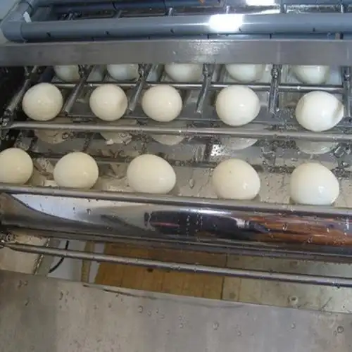 供应不锈钢鸡蛋剥壳机禽类煮蛋脱壳机