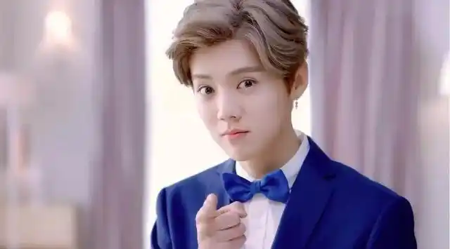 鹿晗资料 鹿晗中国内地男演员,歌手(图3)