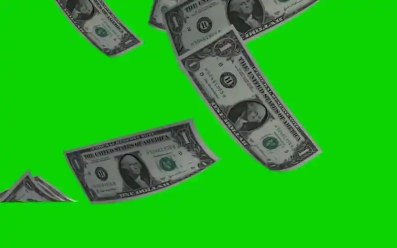 【绿幕素材】美元 钞票雨视频特效素材,无水印!