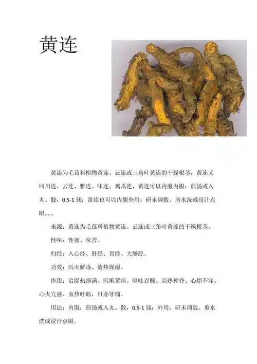 黄连的作用与功效