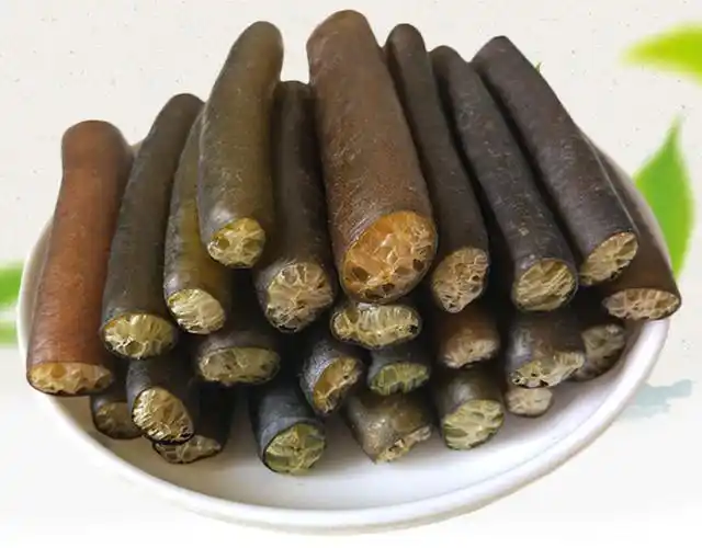 "南极海笋"您吃过吗?南极海笋是深海植物,营养丰富且极其珍贵