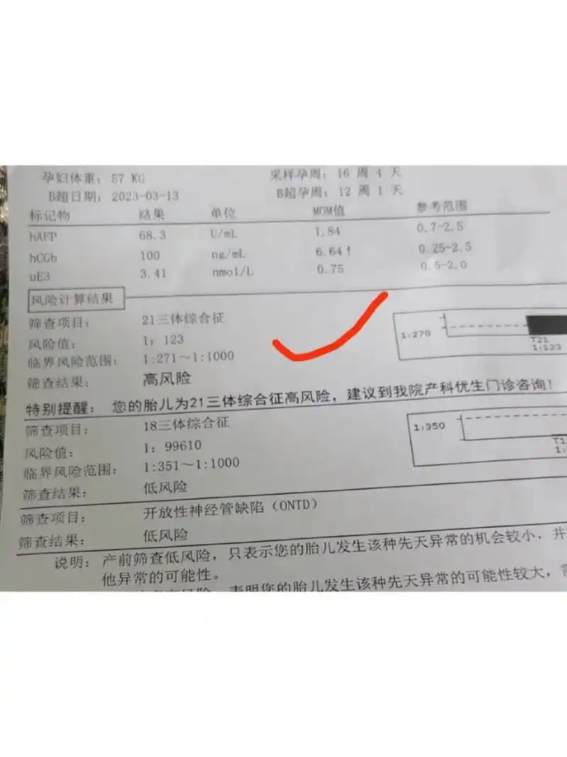 唐筛21三体高风险01  早唐,nt 都过了,中唐21三体高风险玻璃心01