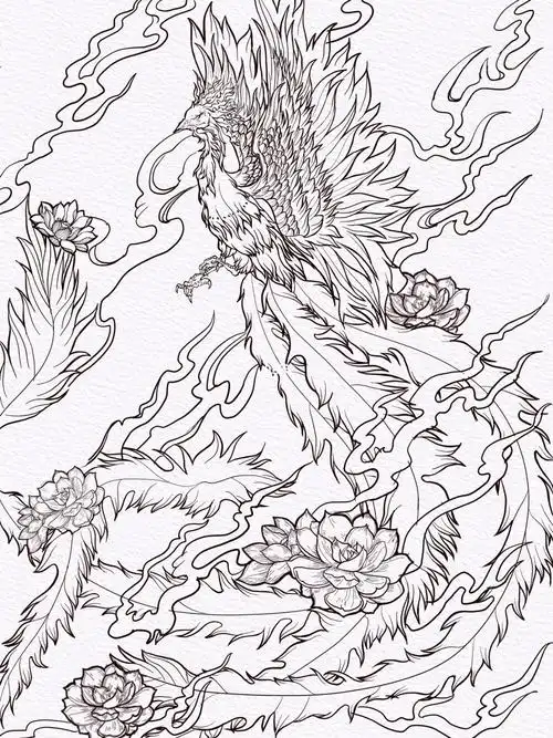 国潮插画瑞兽祥兽朱雀凤凰线稿