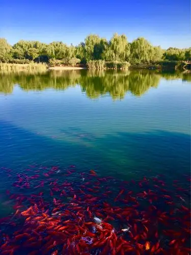 大美燕郊植物园