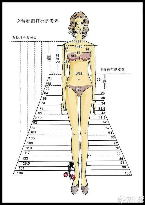 女装打版部位尺寸参考表.jpg