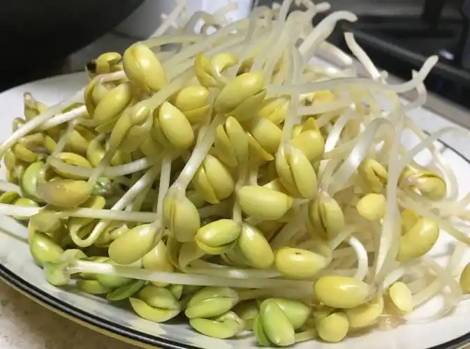 继之前发的绿豆芽,黑豆芽后,再来发个黄豆芽,都是无公害清水浇灌哦.