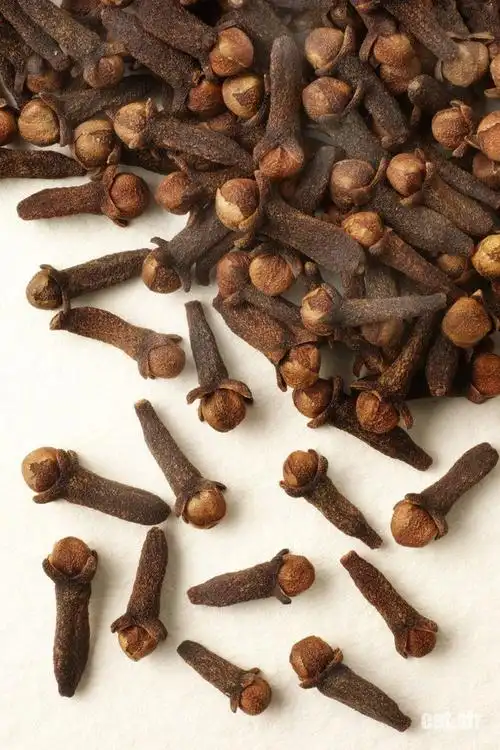 每周一药——丁香-中药科技馆