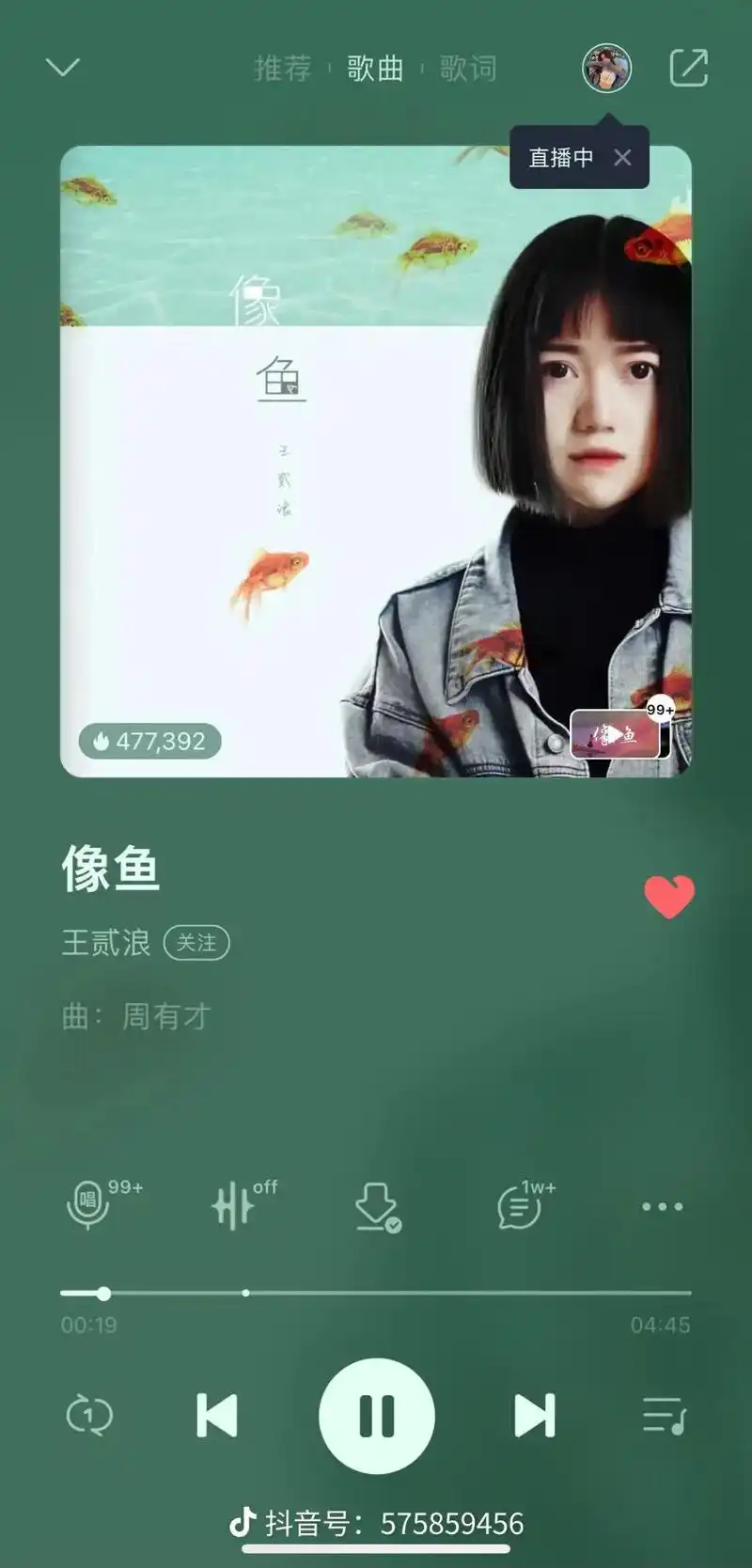 我们都听过像鱼这歌可是谁又懂得你们的故事