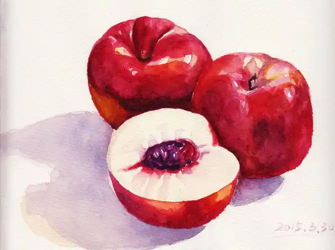 水彩练习——水果