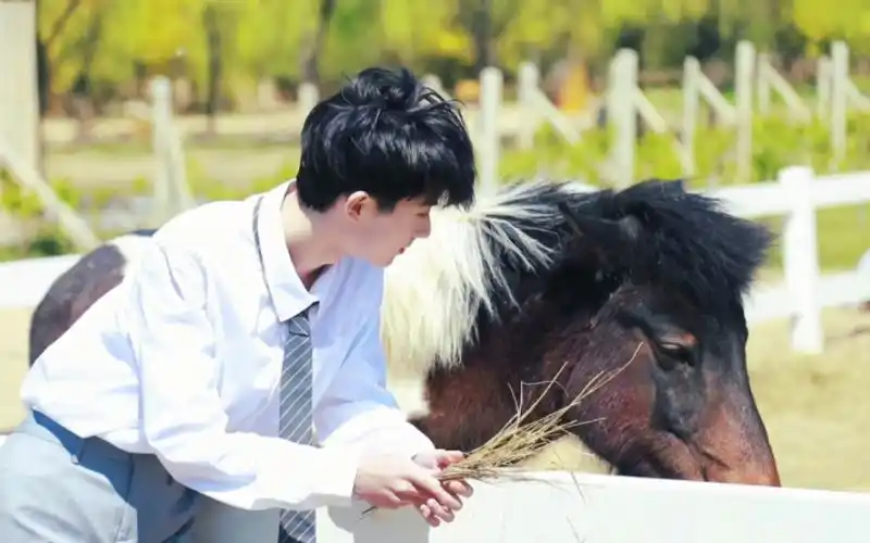 【马嘉祺】少年·阳光·草地