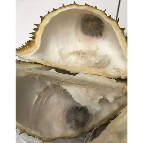 新鲜水果 进口商品评价 > 发霉的榴莲!