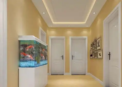 鱼缸正对入户门图片 鱼缸正对入户门好不好