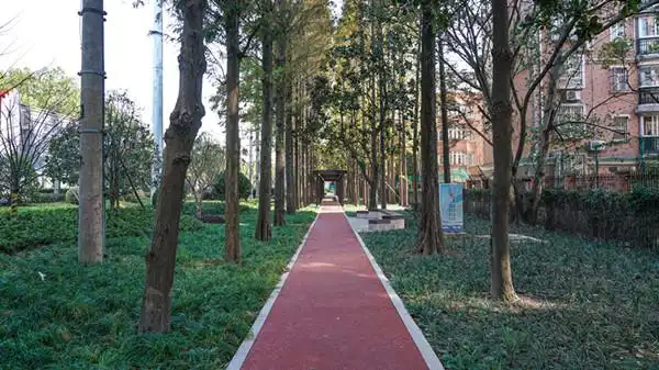 颛桥公交站旁的封闭林地变口袋公园了以后这里花开四季