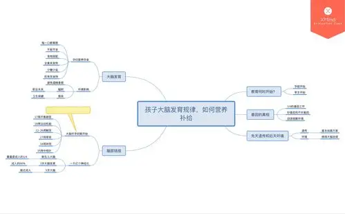 第一次作业思维导图