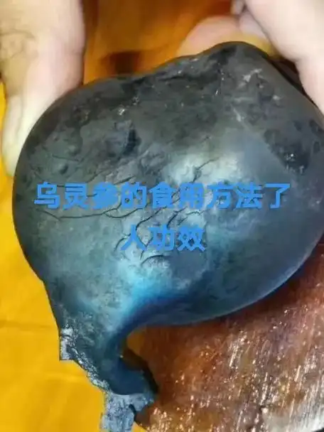 乌灵参的食用方法及神奇的功效 - 抖音