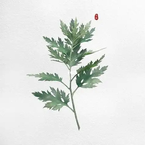 艾草简笔画步骤图绿植物简笔画