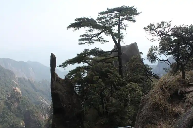 仙人指路 南清园景区