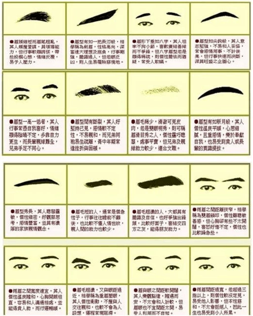 "肖像描写的好词好句"之二:"眉毛"篇(卓老师精编版)