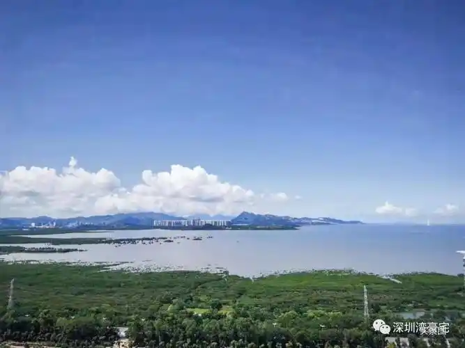 深圳中洲湾迎海二期售楼处电话→销售部首页网站→端午节特惠→24小时