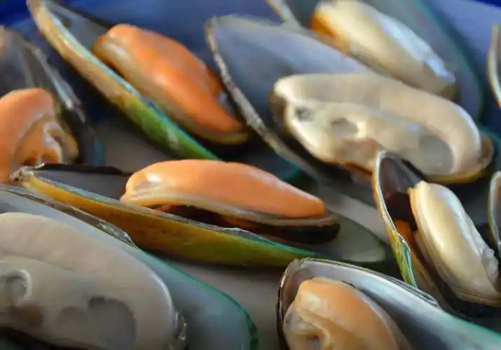 特价 包邮新西兰鲜活青口贝 每盒净重800g每周三结单 周五发货(国内仓