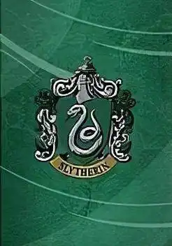 你们都是斯莱特林全世界不会只有我是格兰芬多吧