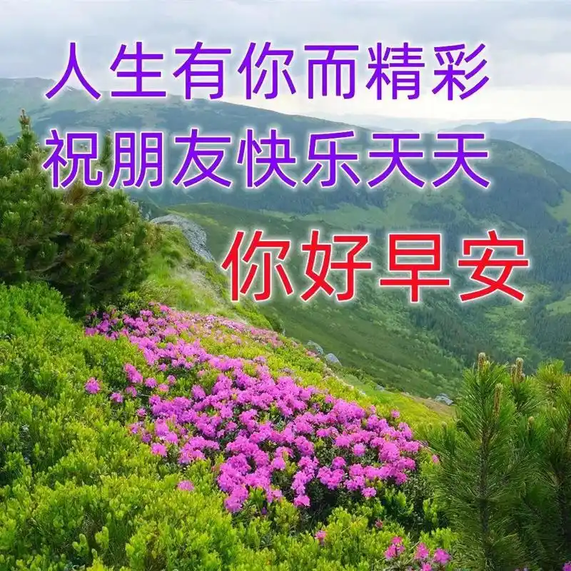 非常漂亮早上问候动态图片大全 微信早上问候表情图片