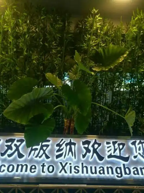 西双版纳欢迎您