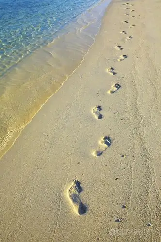 在沙滩上的脚步声