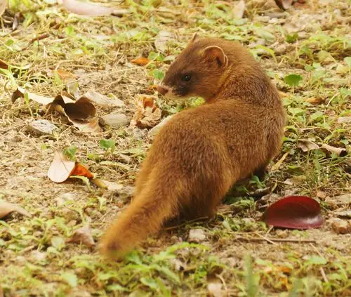 原图欣赏-太平洋摄影部落