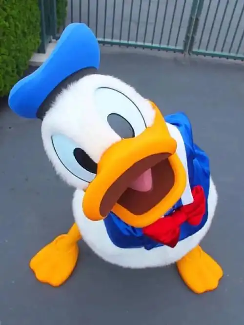 17:53:20好喜欢唐老鸭呀 盖一个鸭鸭照片楼(多图)表情包:-x有毅力同采