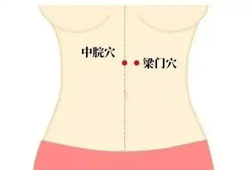 枳实_穴位_小肠