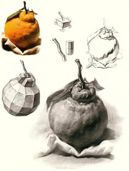 素描  #素描静物  #绘画素材  #画画  #素描分享  #零基础学画画