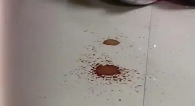 床下的地面留有血迹 从屋里散发出阵阵的臭气