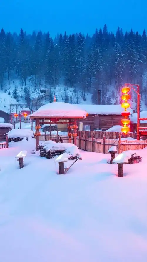 乡村新年雪景