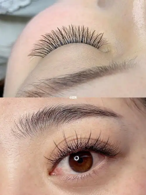 仙女睫毛02#仙女款三叶草美睫  #美睫 #睫毛精