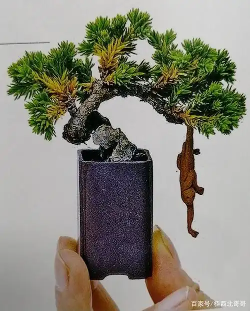 别致美好 ,好美的几幅小盆景作品欣赏