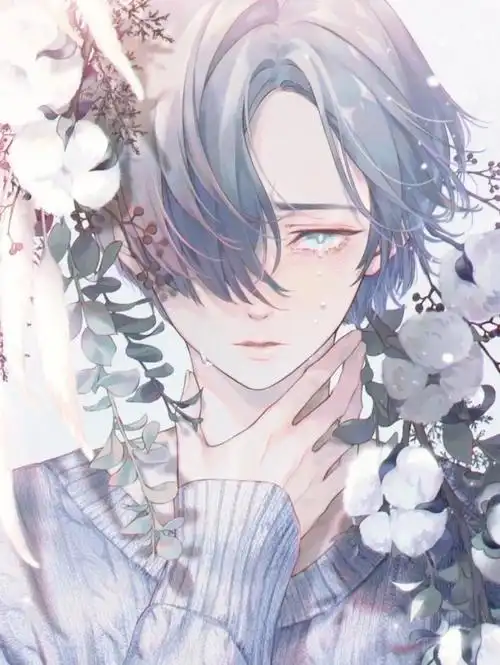 男生高清动漫图片