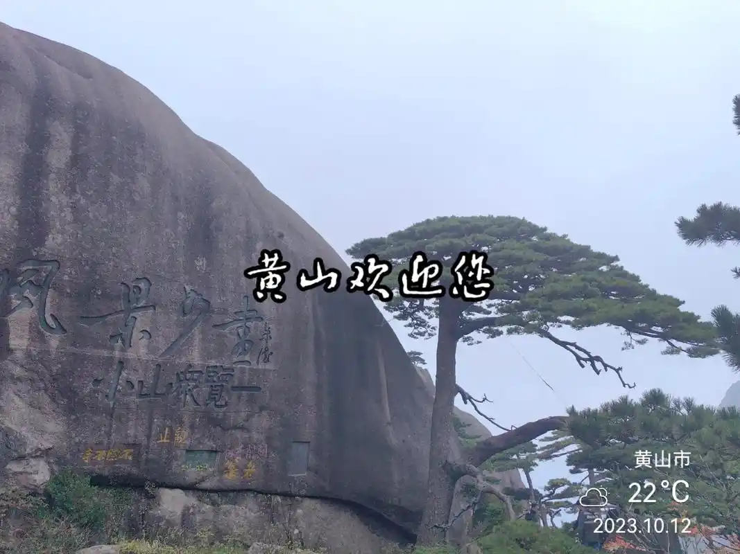 游览黄山.今天上午大家看黄山秀丽的山峰,看迎客松.平时黄山雨 - 抖音