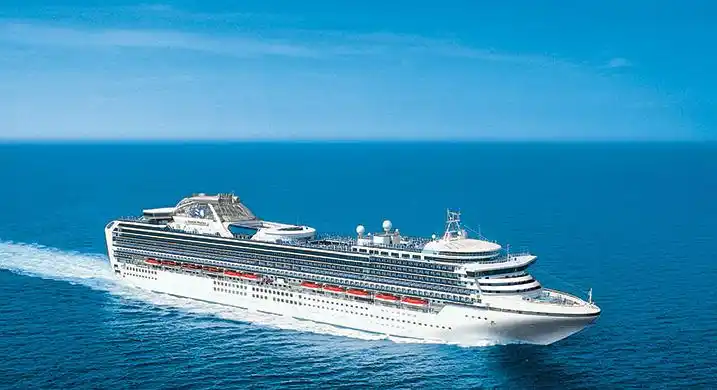 钻石公主号的简介