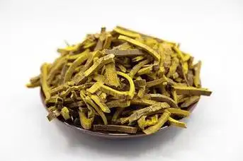 【黄柏】的功效与作用_药用价值_副作用和使用禁忌_中药_绿茶说